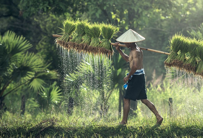 農(nóng)產(chǎn)品電商帶貨短視頻營銷 農(nóng)產(chǎn)品電商帶貨短視頻營銷
