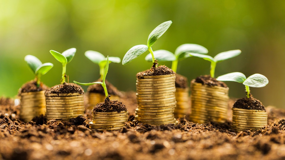 農(nóng)產(chǎn)品電商帶貨短視頻營銷 農(nóng)產(chǎn)品電商帶貨短視頻營銷