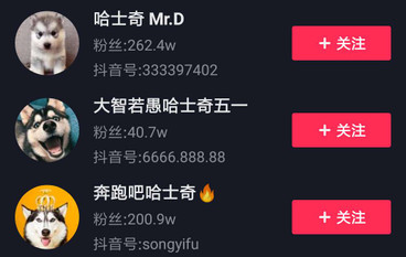 哈士奇短視頻營銷策劃 哈士奇短視頻營銷策劃