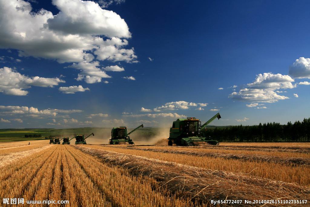 農(nóng)業(yè)品牌策劃多久能成功呢？