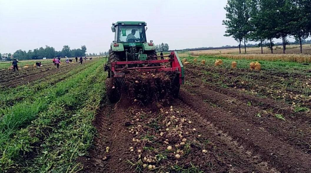 農(nóng)業(yè)品牌策劃需要長期做嗎？