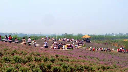 農(nóng)業(yè)品牌策劃能給公司帶來什么利益呢？