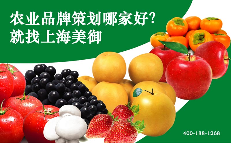 農業(yè)企業(yè)品牌發(fā)展戰(zhàn)略指導