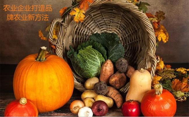 農業(yè)企業(yè)打造品牌農業(yè)新方法
