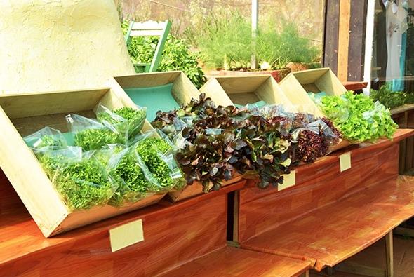 農業(yè)包裝設計的重要作用與意義