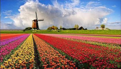 農(nóng)業(yè)品牌策劃 農(nóng)業(yè)品牌策劃