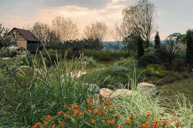 timg (24).jpg timg (24).jpg