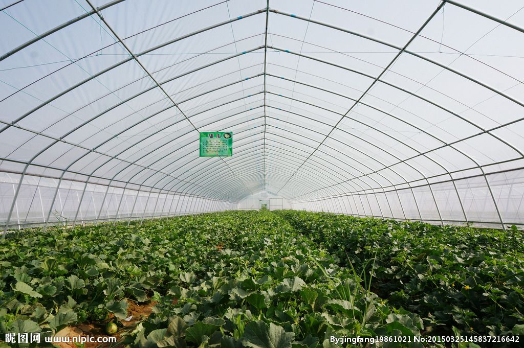 農(nóng)業(yè)品牌策劃 農(nóng)業(yè)品牌策劃