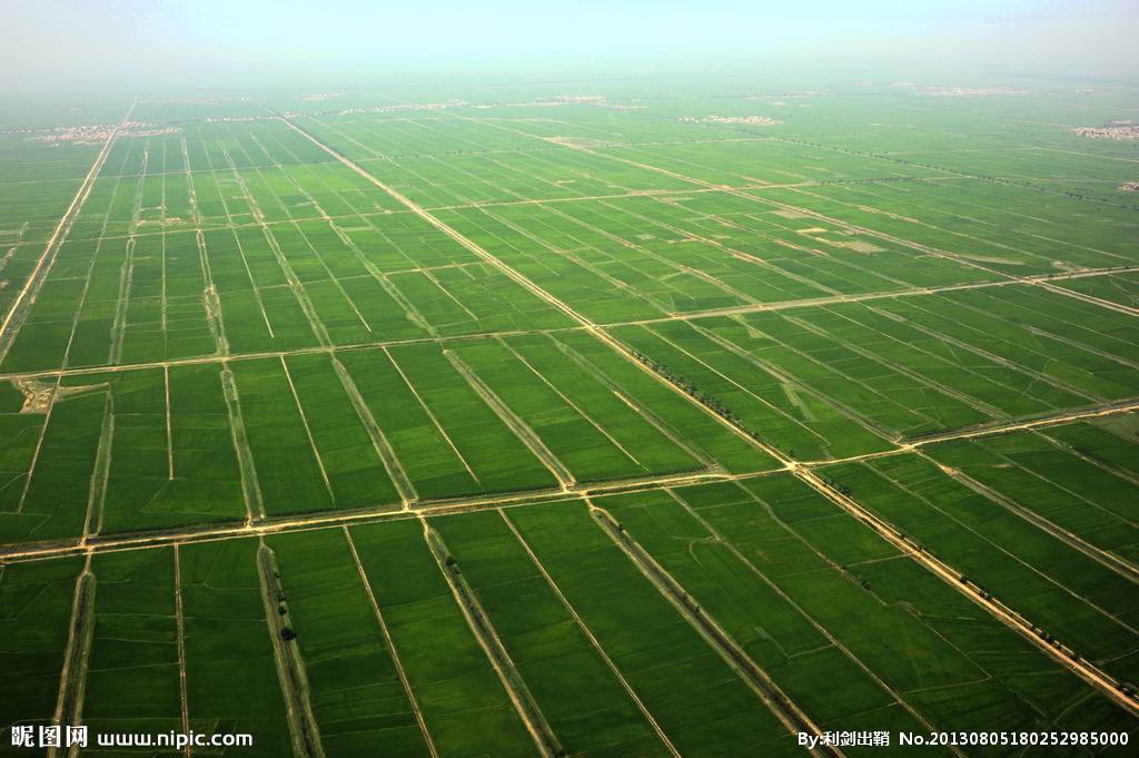 農業(yè)品牌策劃 農業(yè)品牌策劃