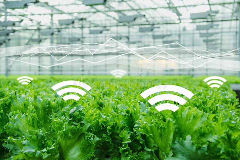 農(nóng)業(yè)品牌定位，互聯(lián)網(wǎng)農(nóng)業(yè)品牌定位