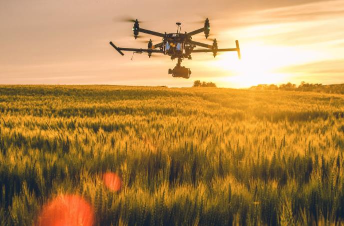 農(nóng)業(yè)發(fā)展戰(zhàn)略策劃 農(nóng)產(chǎn)品品牌策劃設(shè)計公司 農(nóng)業(yè)發(fā)展戰(zhàn)略策劃 農(nóng)產(chǎn)品品牌策劃設(shè)計公司