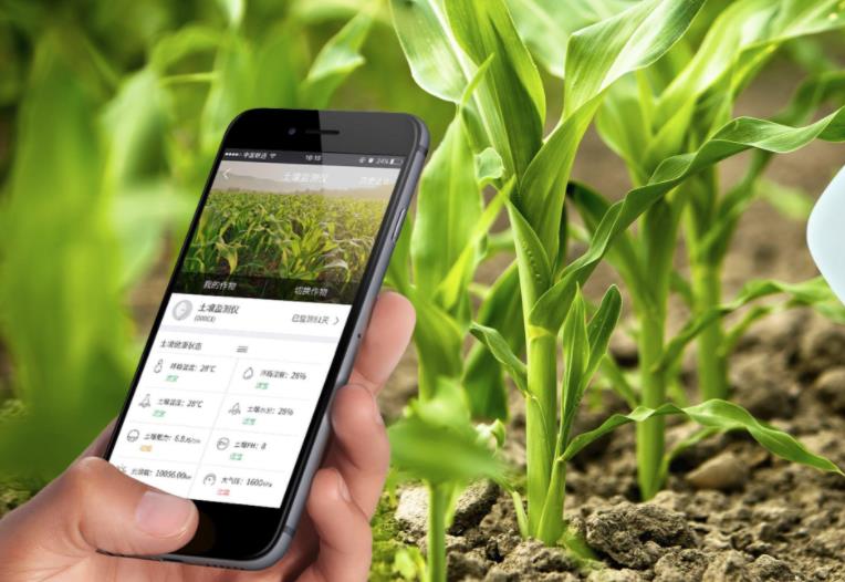 農(nóng)業(yè)發(fā)展戰(zhàn)略策劃 農(nóng)產(chǎn)品品牌策劃設(shè)計公司 農(nóng)業(yè)發(fā)展戰(zhàn)略策劃 農(nóng)產(chǎn)品品牌策劃設(shè)計公司