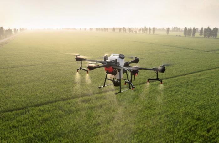 農(nóng)業(yè)發(fā)展戰(zhàn)略策劃 農(nóng)產(chǎn)品品牌策劃設(shè)計公司 農(nóng)業(yè)發(fā)展戰(zhàn)略策劃 農(nóng)產(chǎn)品品牌策劃設(shè)計公司