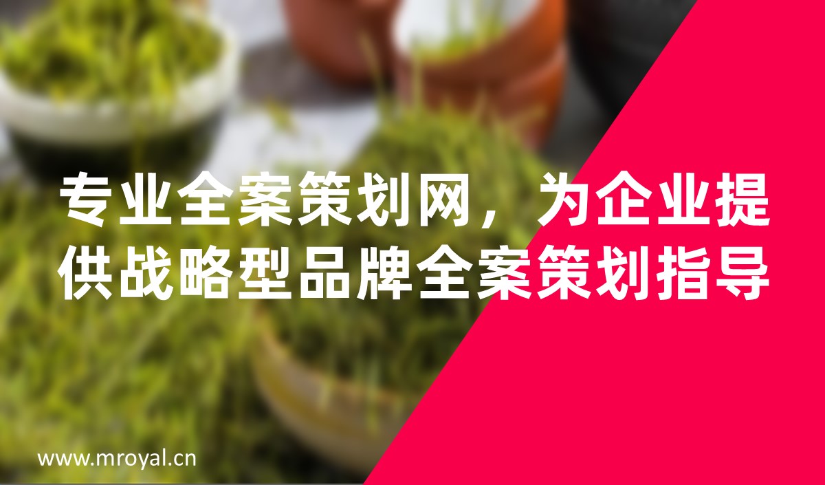專業(yè)全案策劃網(wǎng)，為企業(yè)提供戰(zhàn)略型品牌全案策劃指導(dǎo)