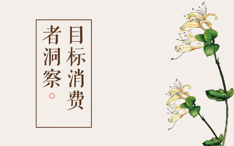 目標消費者洞察 中醫(yī)理療品牌全案策劃