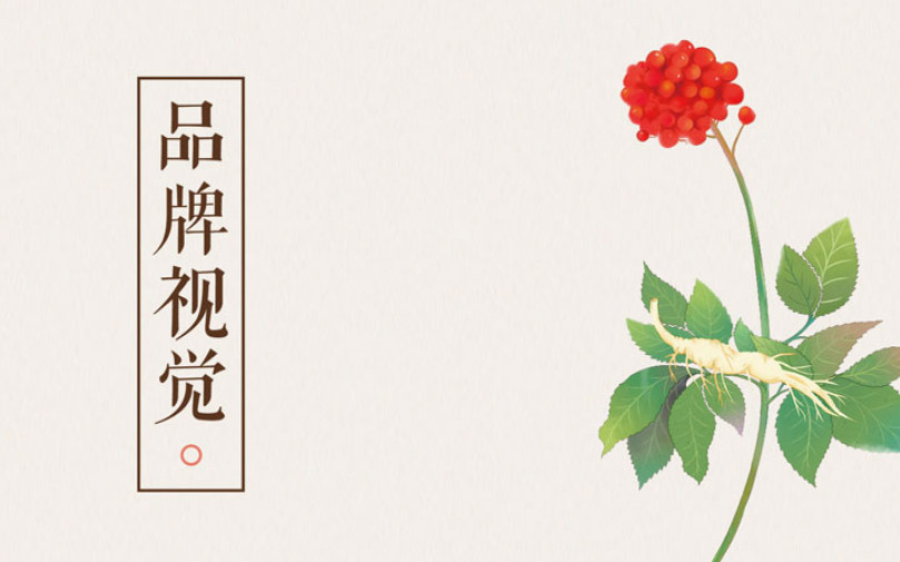 品牌視覺 保健品牌全案策劃