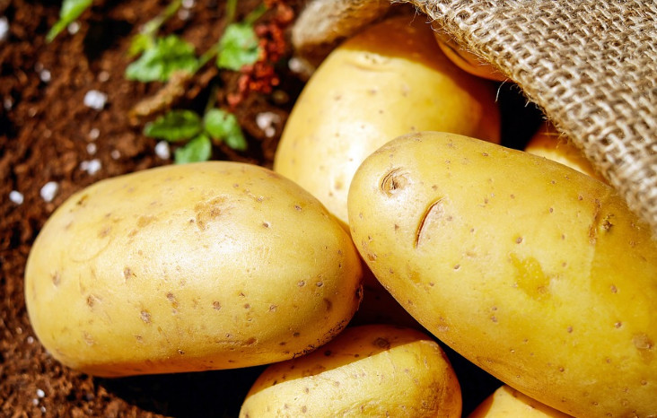 品牌全案設(shè)計如何賦予品牌象征意義與情感價值 品牌全案設(shè)計如何賦予品牌象征意義與情感價值