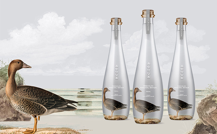 礦泉水包裝設(shè)計(jì)全案 礦泉水包裝設(shè)計(jì)全案