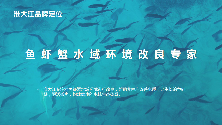 水產(chǎn)動(dòng)保品牌全案策劃設(shè)計(jì) 水產(chǎn)動(dòng)保品牌全案策劃設(shè)計(jì)