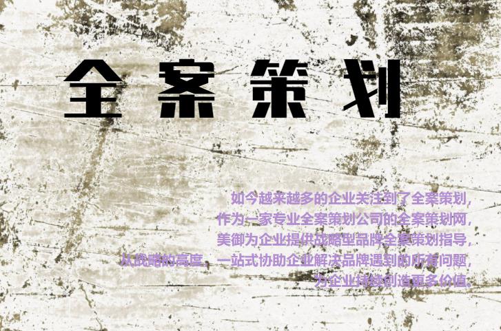 專業(yè)全案策劃網(wǎng)，為企業(yè)提供戰(zhàn)略型品牌全案策劃指導(dǎo)
