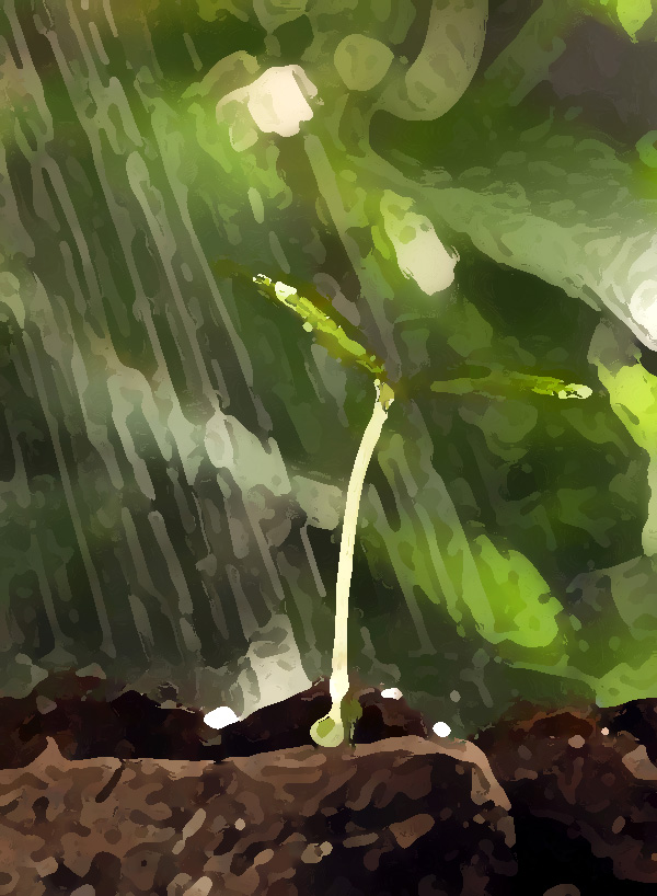 農(nóng)業(yè)公司品牌提升策劃，實現(xiàn)農(nóng)業(yè)垂直一體化