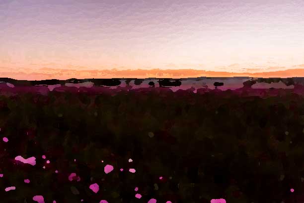 化妝品全案策劃公司應該建立怎樣的形象？