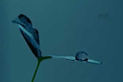 餐飲品牌設(shè)計(jì)的突破點(diǎn)有哪些？