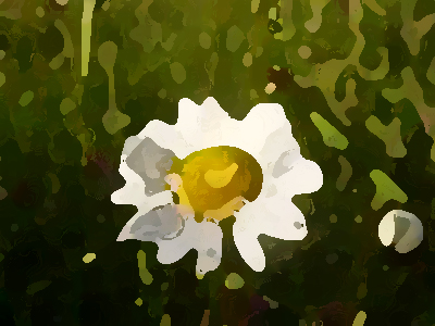 如何進(jìn)行農(nóng)業(yè)品牌形象提升？