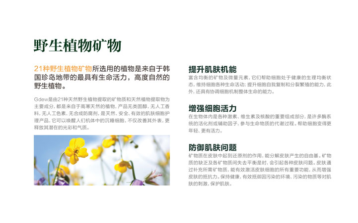 化妝品包裝設計