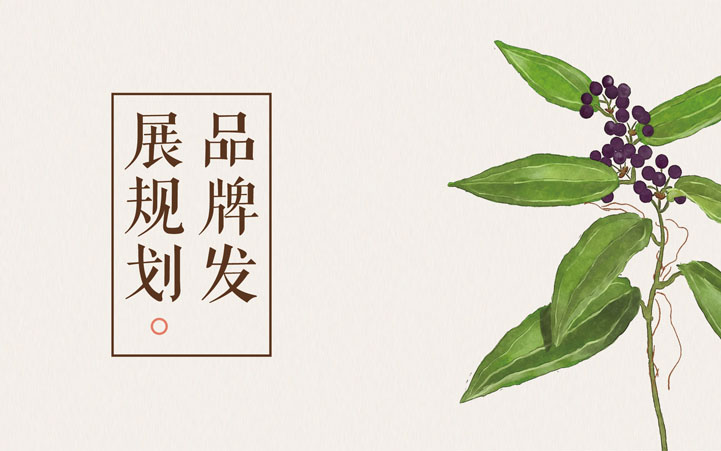 補補吧品牌全案策劃