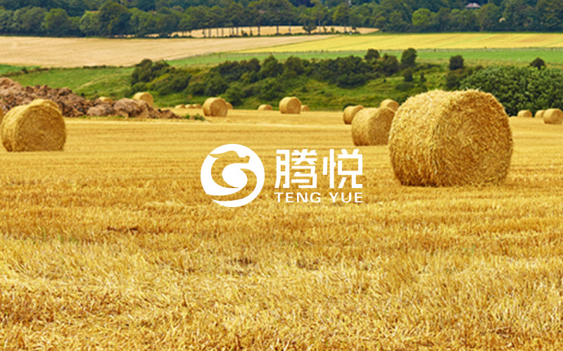 肥料品牌策劃，騰悅肥料