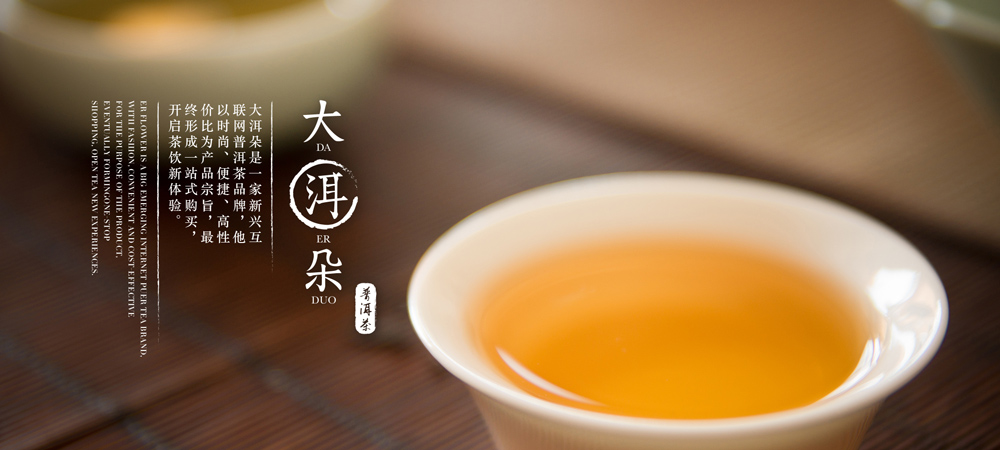 普洱茶品牌策劃與包裝設(shè)計(jì)