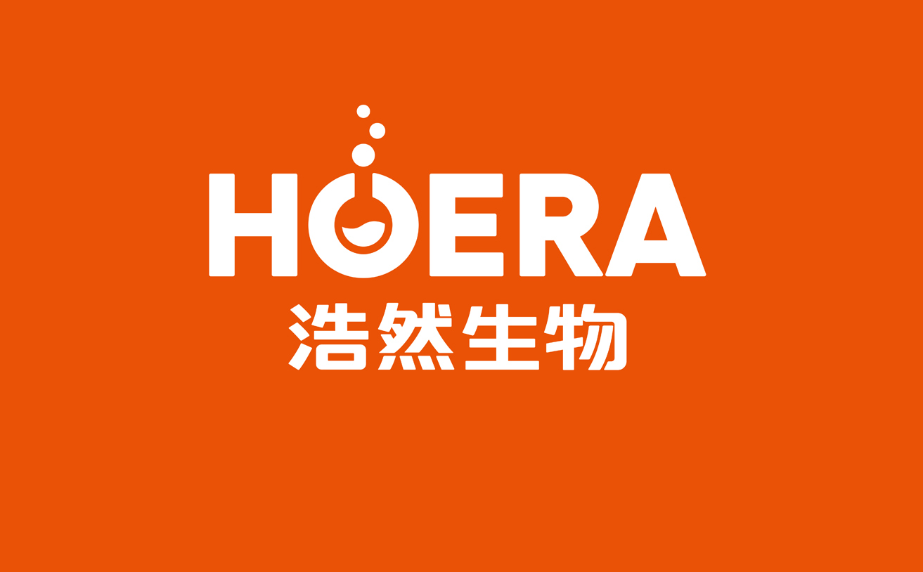 補補吧品牌策劃品牌設計