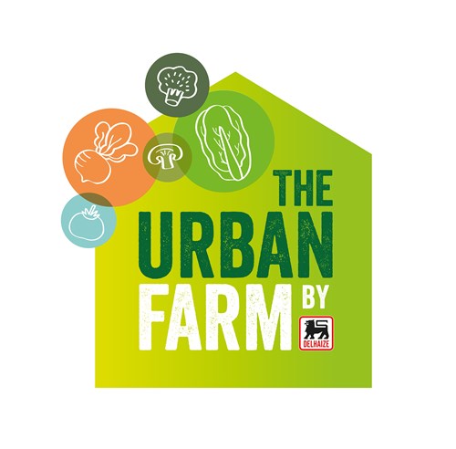 一套時尚的農(nóng)業(yè)品牌設(shè)計，設(shè)計簡潔明了，用色鮮明，讓人看了過目不忘，值得搞農(nóng)業(yè)品牌朋友學(xué)習交流。