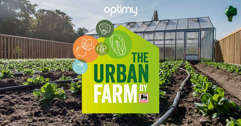 一套時尚的農(nóng)業(yè)品牌設(shè)計，設(shè)計簡潔明了，用色鮮明，讓人看了過目不忘，值得搞農(nóng)業(yè)品牌朋友學(xué)習交流。