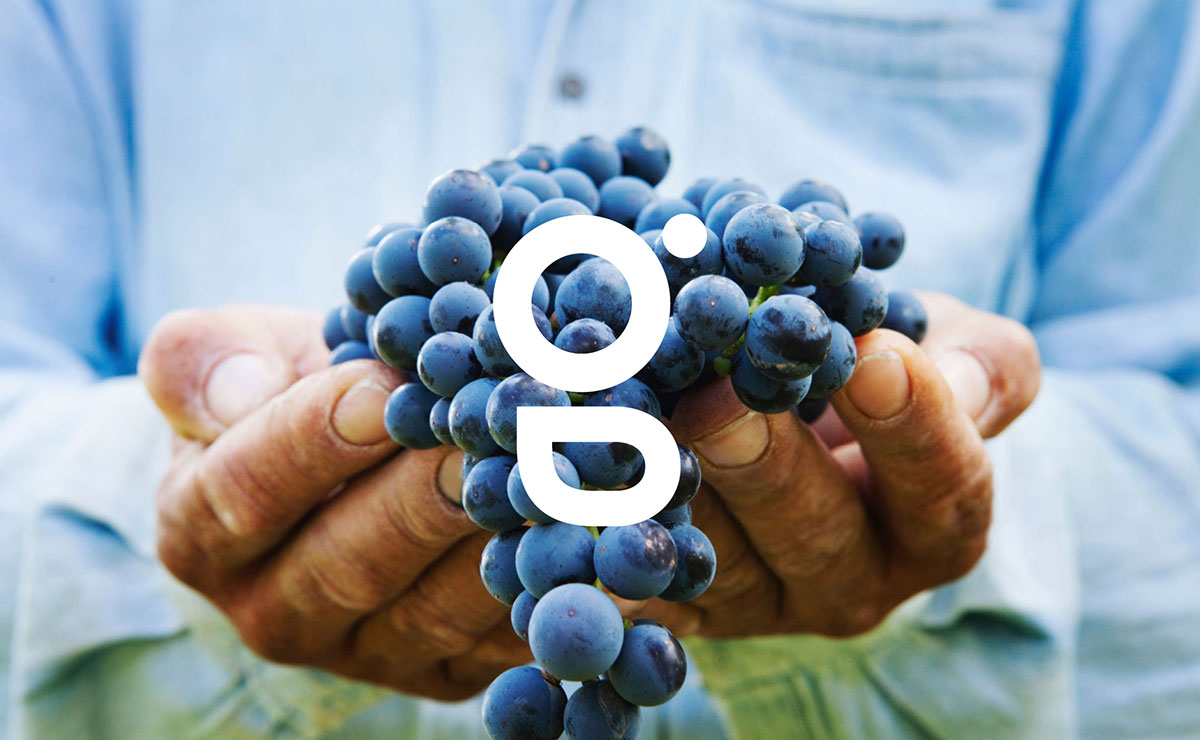 農(nóng)業(yè)品牌設(shè)計(jì) 農(nóng)業(yè)品牌設(shè)計(jì)