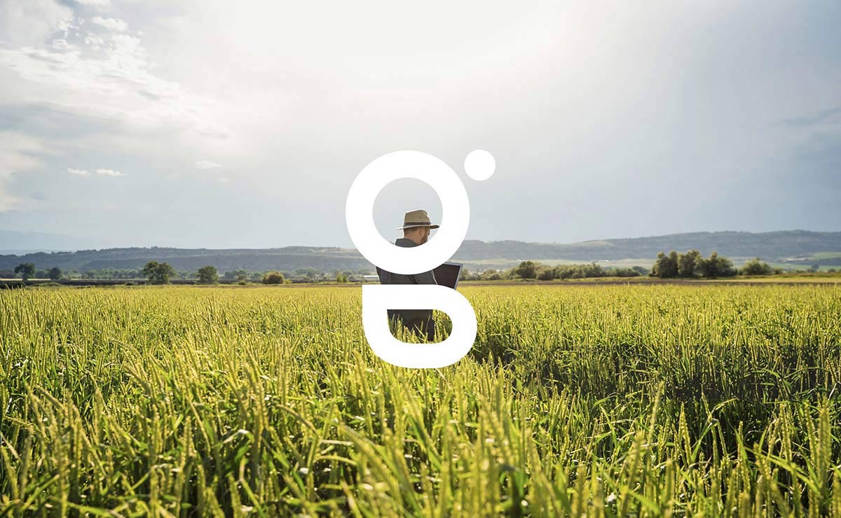 農(nóng)業(yè)品牌VI設(shè)計(jì) 農(nóng)業(yè)品牌VI設(shè)計(jì)