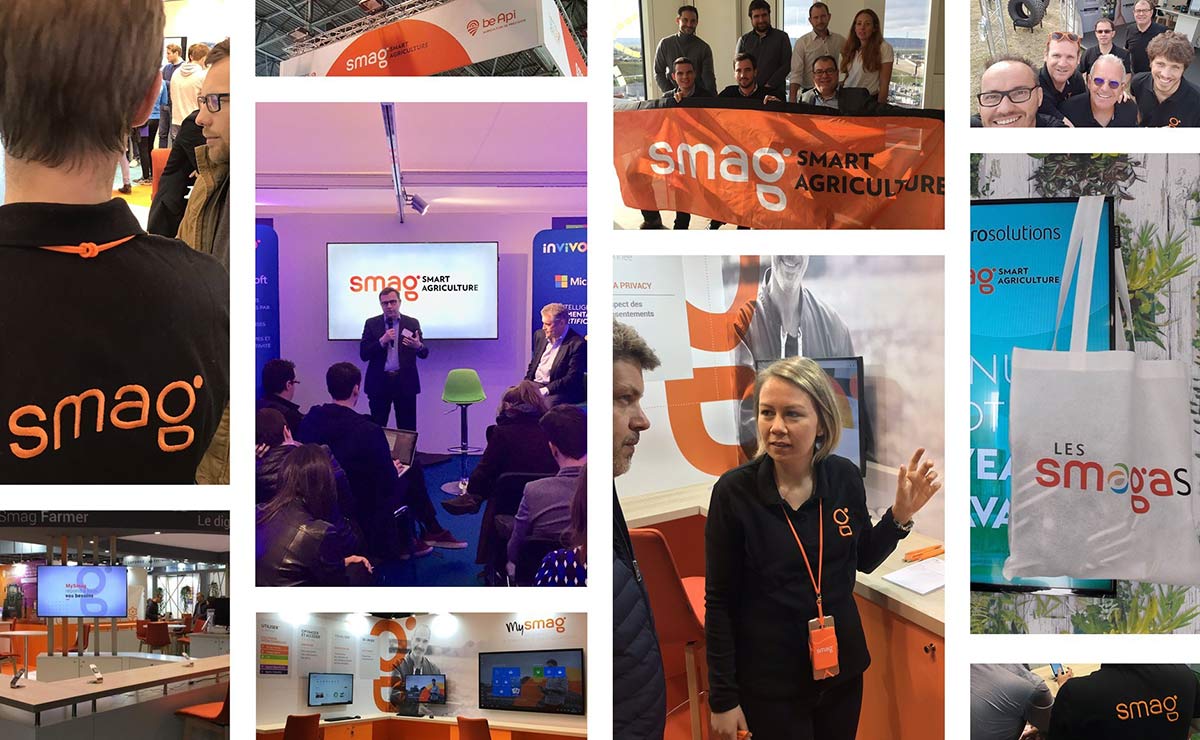 農(nóng)業(yè)品牌設(shè)計(jì) 農(nóng)業(yè)品牌設(shè)計(jì)