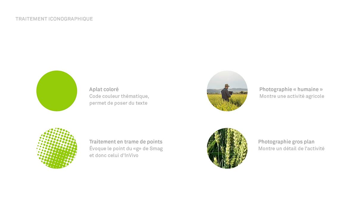 農(nóng)業(yè)品牌VI設(shè)計(jì) 農(nóng)業(yè)品牌vi設(shè)計(jì)