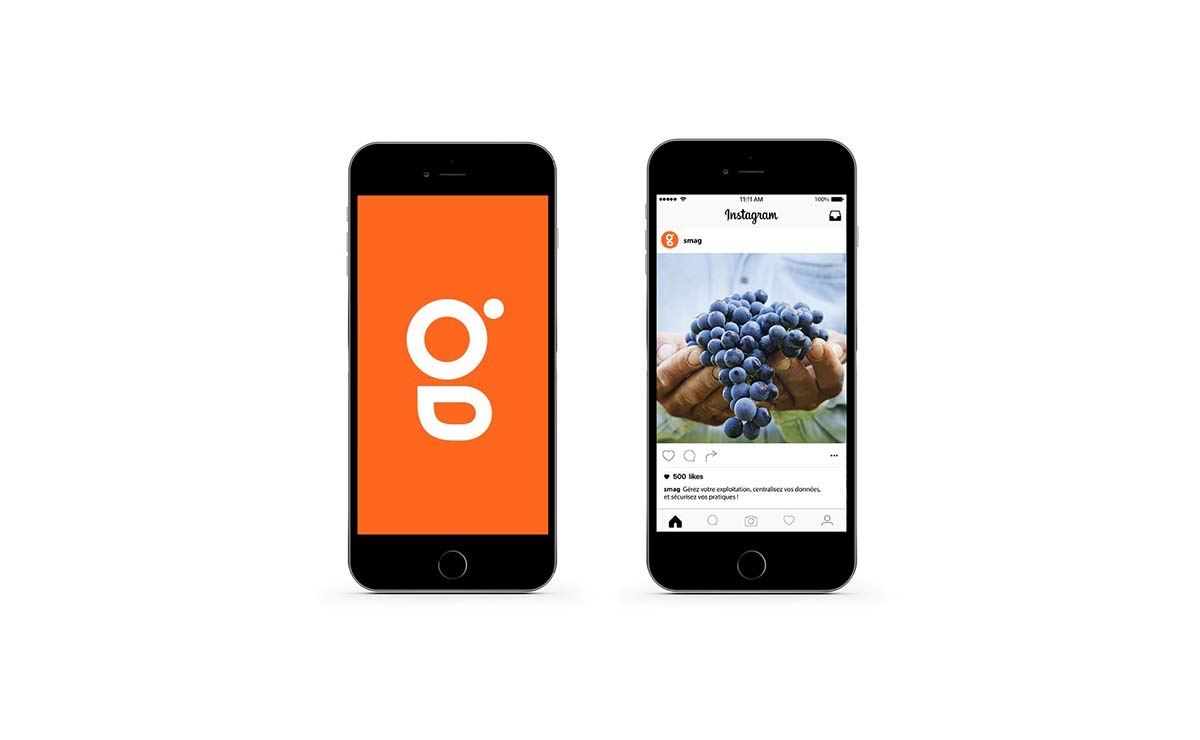 農(nóng)業(yè)品牌VI設(shè)計(jì) 農(nóng)業(yè)品牌VI設(shè)計(jì)