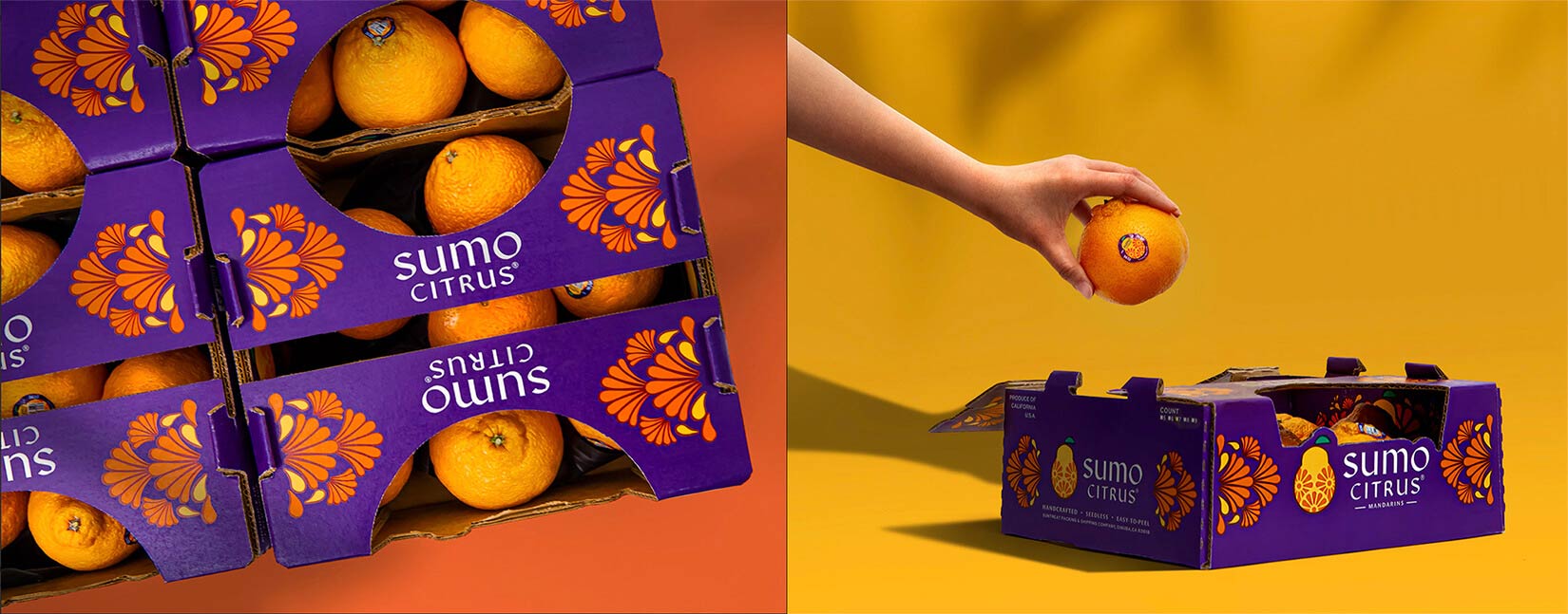 水果品牌設(shè)計 水果品牌設(shè)計