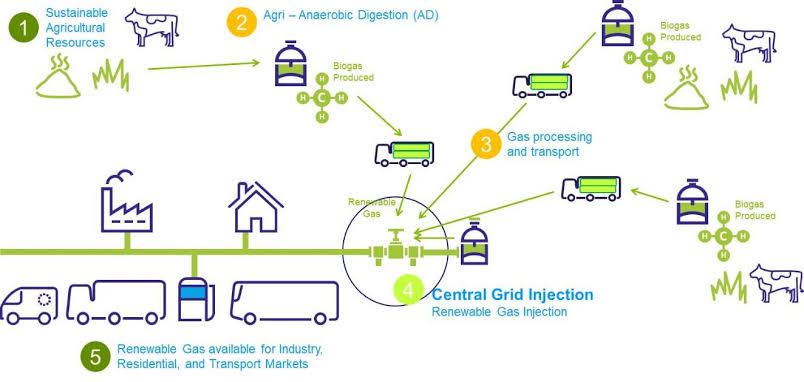 家庭農(nóng)場創(chuàng)業(yè)計劃書 家庭農(nóng)場創(chuàng)業(yè)計劃書