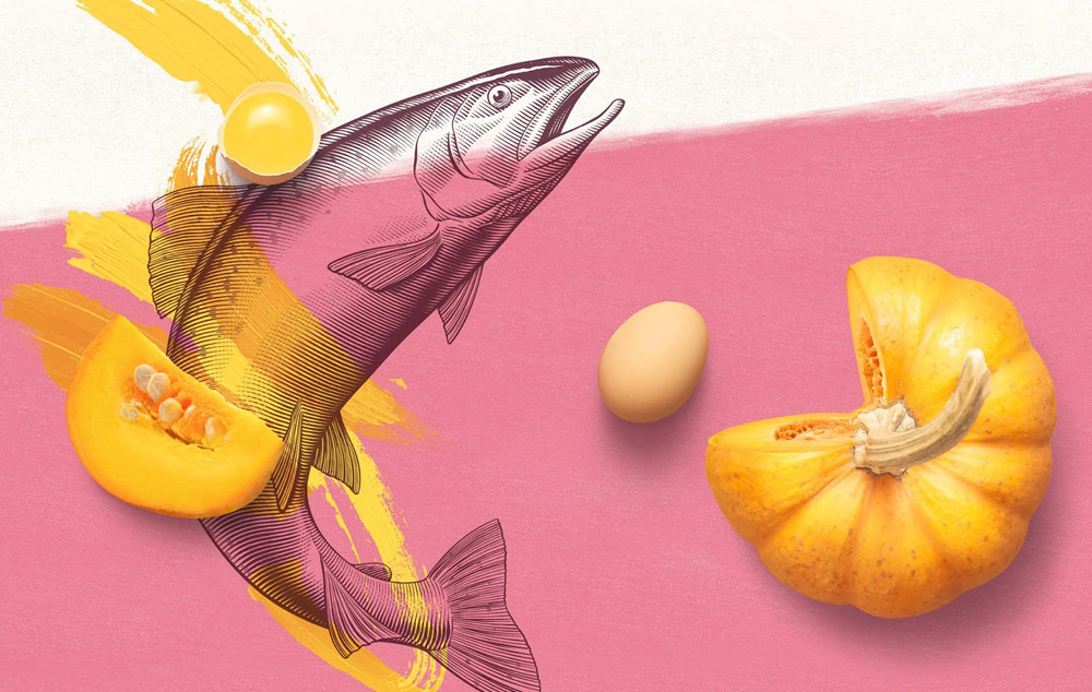 寵物食品包裝設(shè)計(jì) 寵物食品包裝設(shè)計(jì)