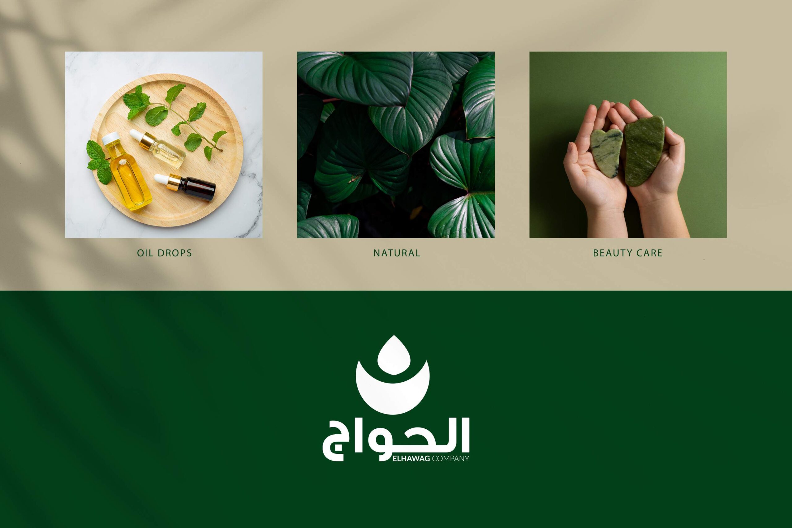 植物精油護膚包裝設(shè)計