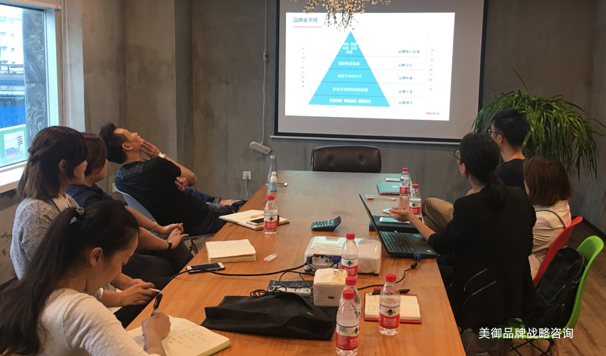 品牌戰(zhàn)略營(yíng)銷(xiāo)全案戰(zhàn)略指南-美御品牌策劃