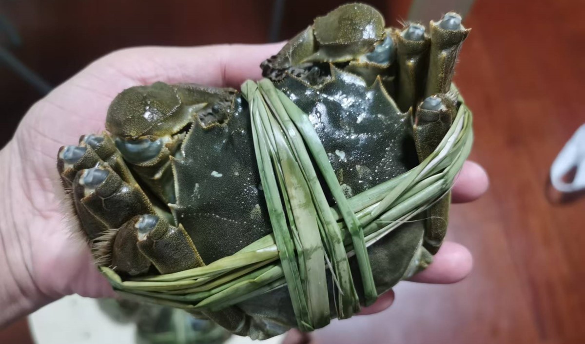 中秋節(jié)前的大閘蟹品牌營(yíng)銷策劃方案 中秋節(jié)前的大閘蟹品牌營(yíng)銷策劃方案