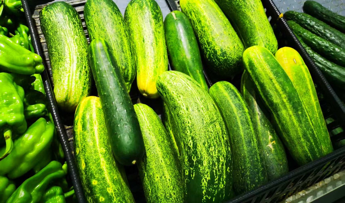 農(nóng)產(chǎn)品黃瓜營銷策劃指南-重塑黃瓜產(chǎn)業(yè)價值鏈條