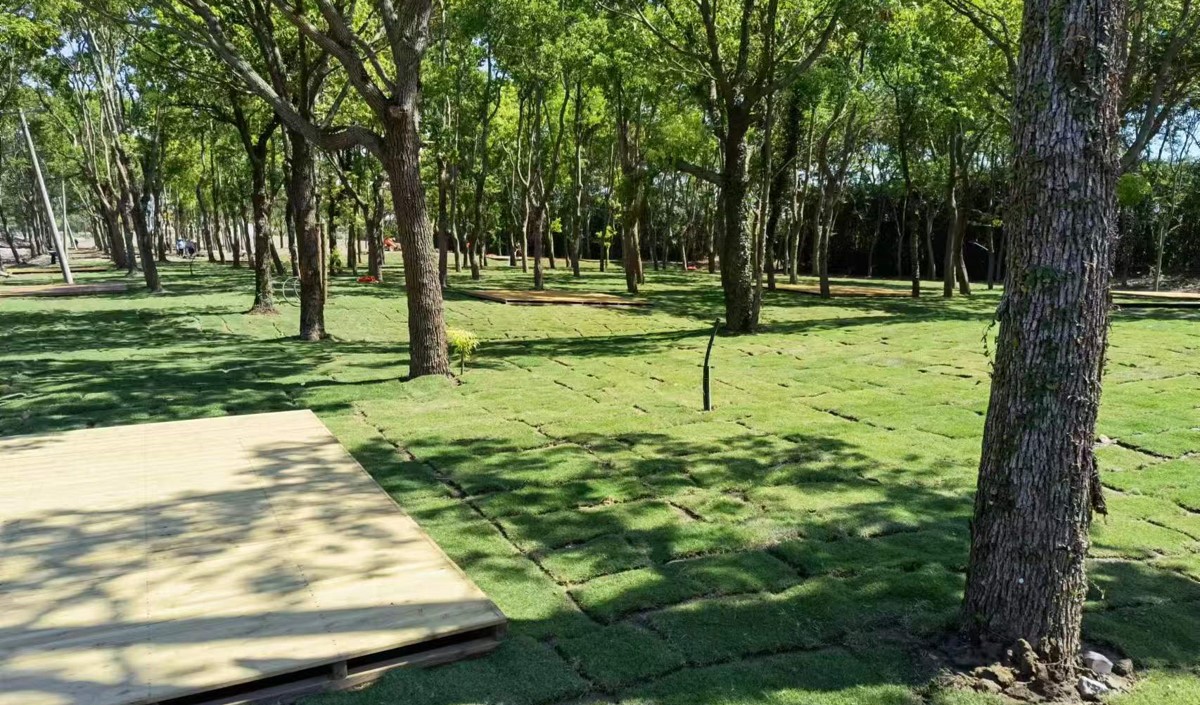 農(nóng)業(yè)品牌化：從田間地頭到價(jià)值高地的戰(zhàn)略躍升