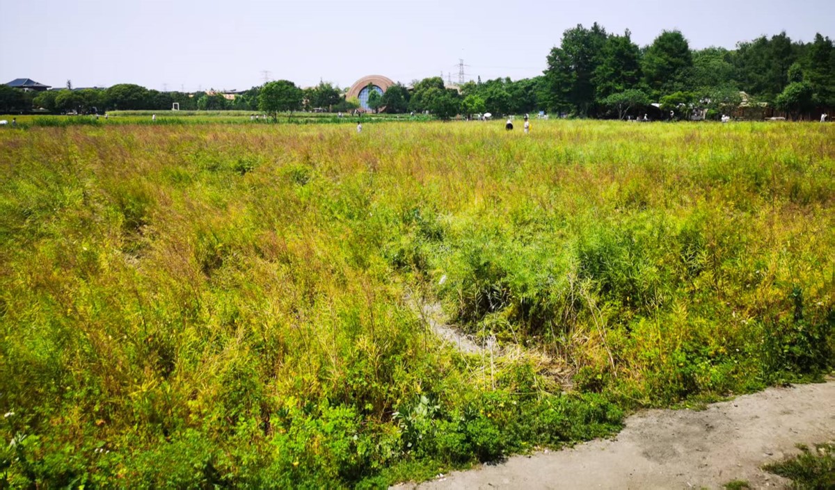 近郊農(nóng)業(yè)公司如何打造高端現(xiàn)代農(nóng)業(yè)品牌？